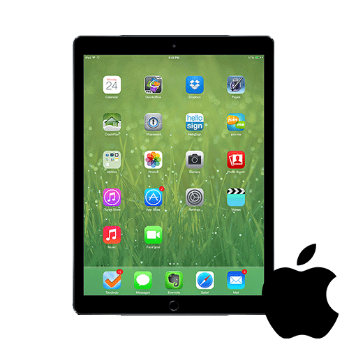 iPad